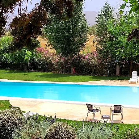 Bodega El Juncal Hotel