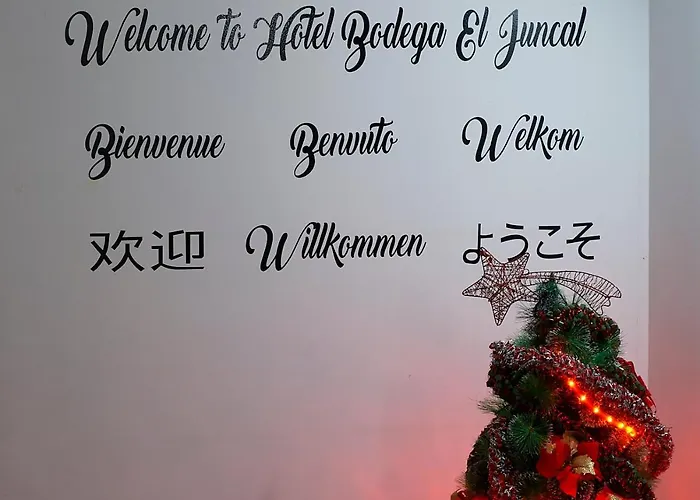 Bodega El Juncal Otel