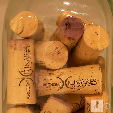 Bodega El Juncal Szálloda Ronda