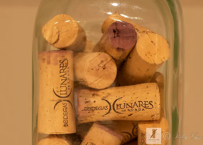 Bodega El Juncal Hotel Ronda