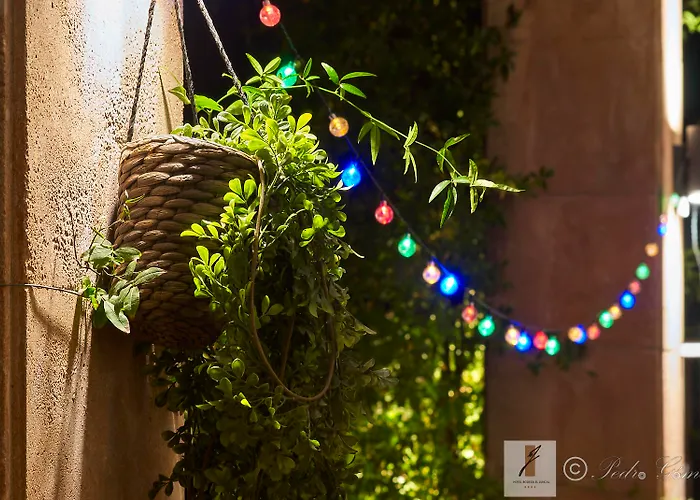 מלון Bodega El Juncal 4*